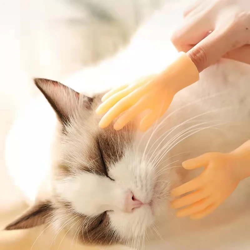 Imagine /3-Jucarii-pisica-masaj-mănuși-degetul-mic-de-pisica/img_images-1192.jpeg
