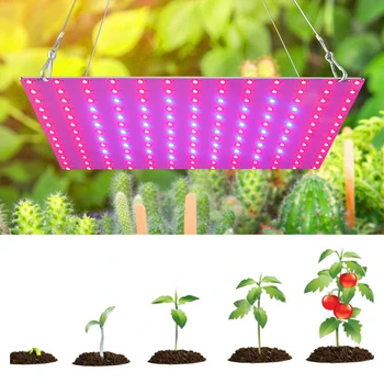 LED-uri Cresc de Lumină întregul Spectru Fito Lampa pentru Plante de Interior, Flori cu efect de Seră Răsaduri de Creștere Lumină AC110V AC220V NOI UE plug