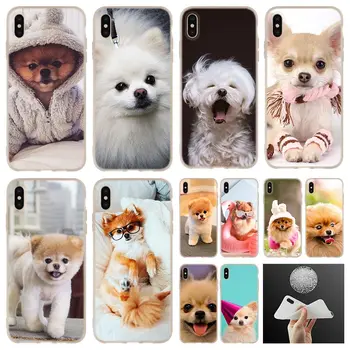 Pomeranian câini Tipografic poster moale din Silicon Moale Caz Pentru iPhone 13 12 11 Pro 7 8 6 6s Plus XR XS Max Acoperi Mini SE 2020